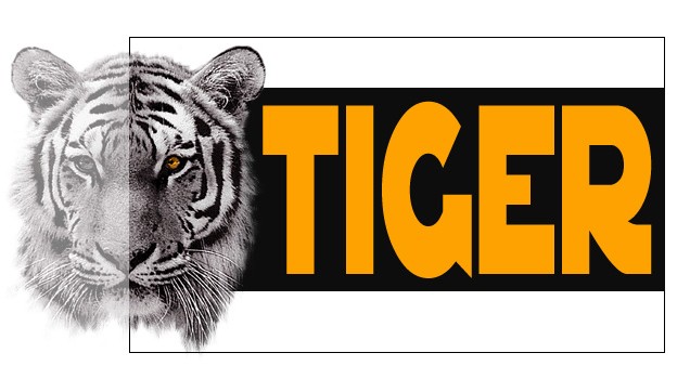 Tiger Tiger
