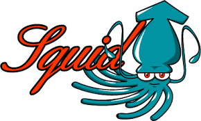 Squid