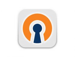 OpenVPN-Logo1